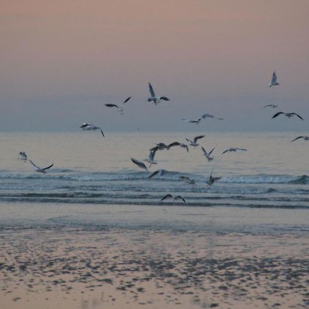 Holiday Home Omaha Beach With Garden Aignerville 외부 사진